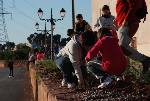 2012 Dia de l'arbre