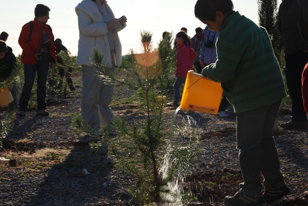 2012 Dia de l'arbre