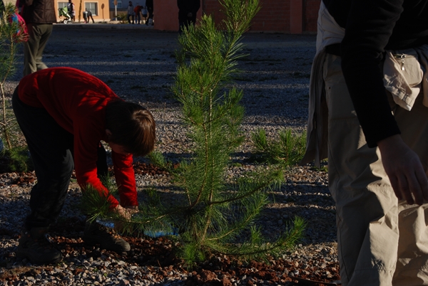 2012 Dia de l'arbre