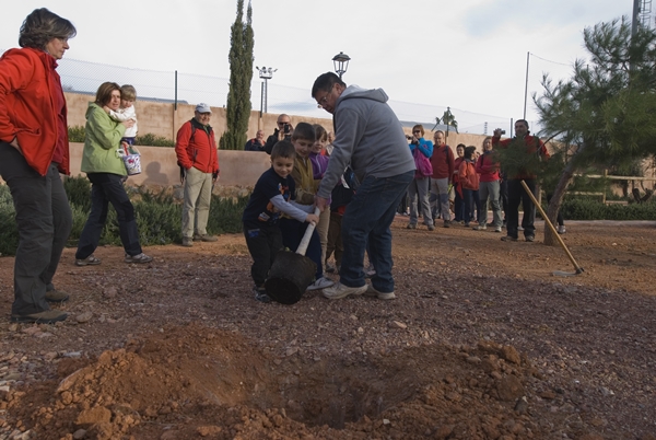 2013 Dia de l'arbre