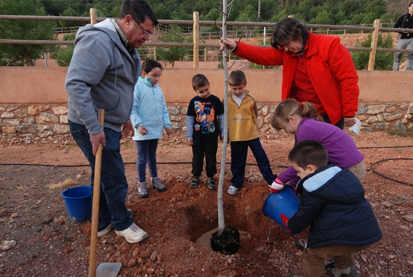 2013 Dia de l'arbre