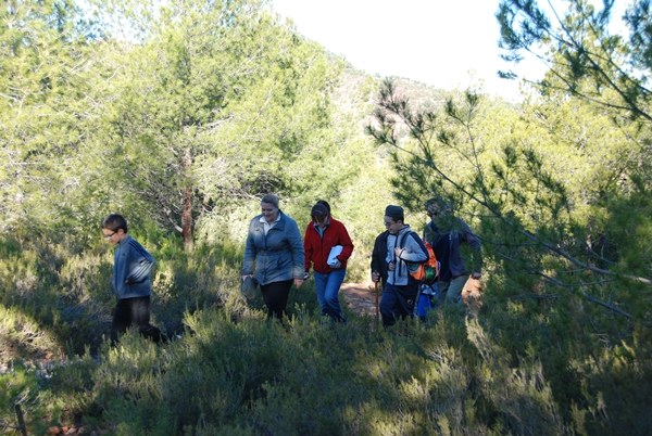 2014 Dia de l'arbre