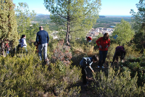 2014 Dia de l'arbre