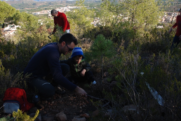 2014 Dia de l'arbre