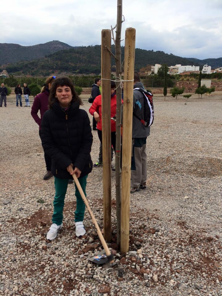 2015 Dia de lArbre