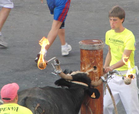 2011-CARLOS MARTIN-LORENTE BALLESTER