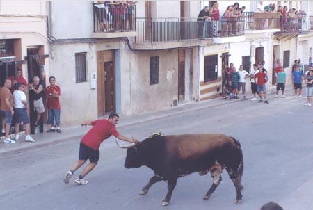 2011-LUIS MARTINEZ MOLINER