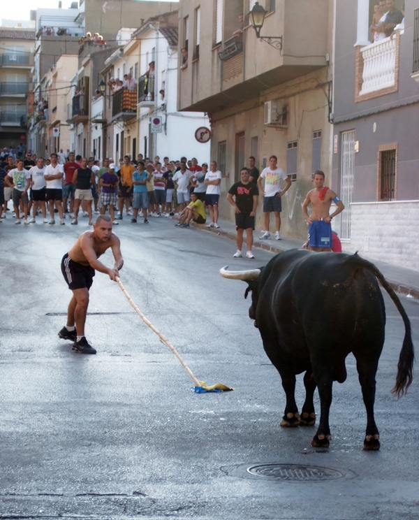 2009 Josep Vicent Vivas Garca