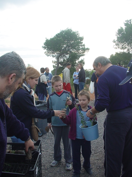 2004 Dia de l'arbre