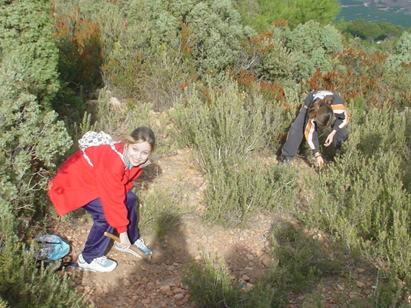 2004 Dia de l'arbre