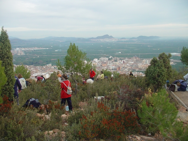 2004 Dia de l'arbre