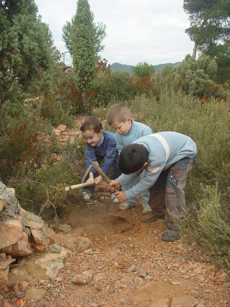 2004 Dia de l'arbre