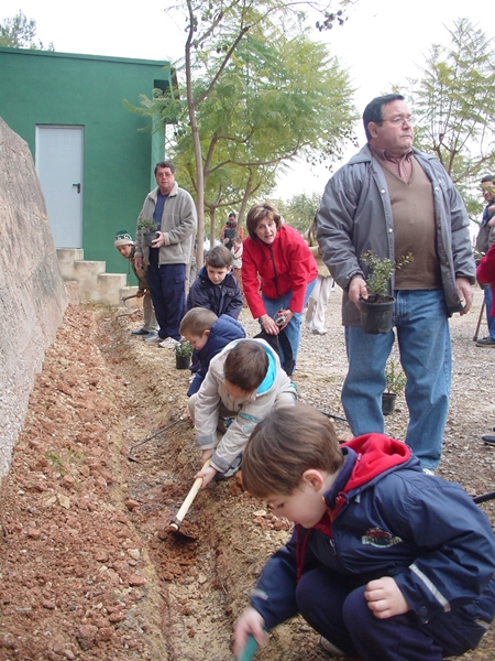 2005 Dia de l'arbre