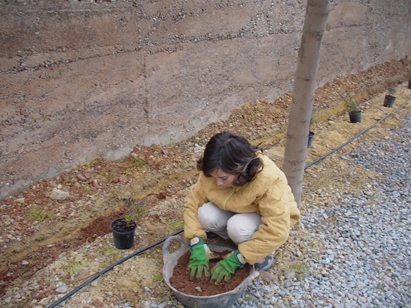 2005 Dia de l'arbre