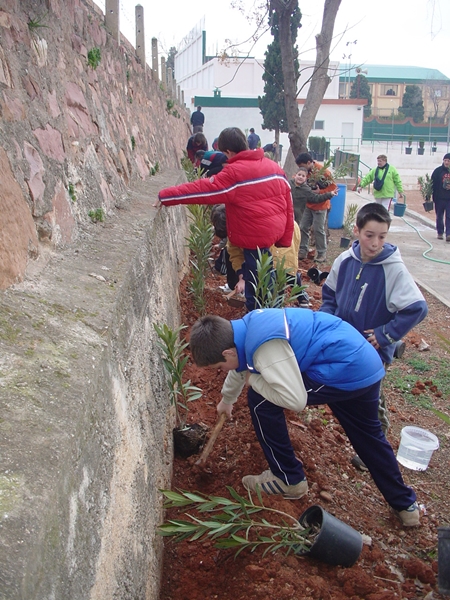 2005 Dia de l'arbre