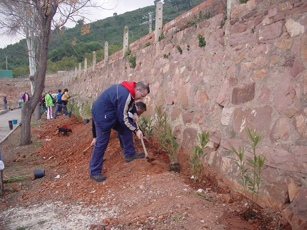 2005 Dia de l'arbre