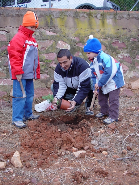 2007 Dia de l'arbre