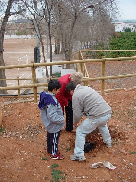 2007 Dia de l'arbre