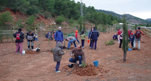 2007 Dia de l'arbre