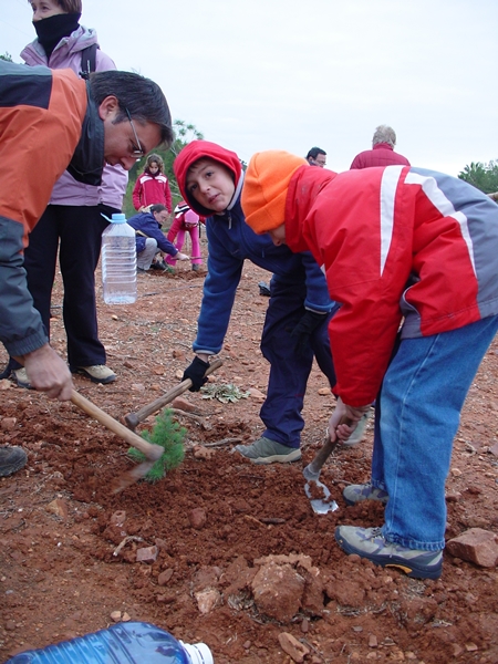 2007 Dia de l'arbre