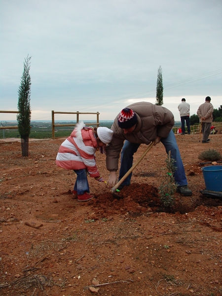 2007 Dia de l'arbre