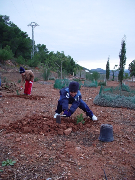 2007 Dia de l'arbre