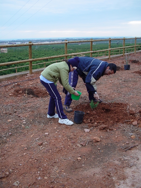 2007 Dia de l'arbre