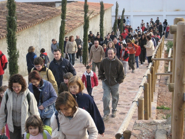 2008 Dia de l'arbre