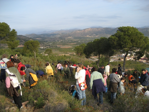 2008 Dia de l'arbre