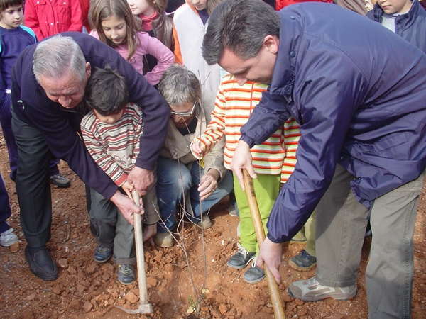 2008 Dia de l'arbre