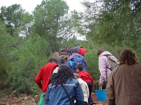 2009 Dia de l'arbre