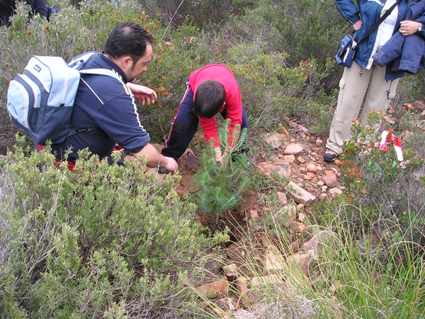 2009 Dia de l'arbre