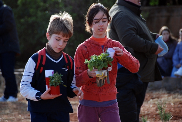 2010 Dia de l'arbre