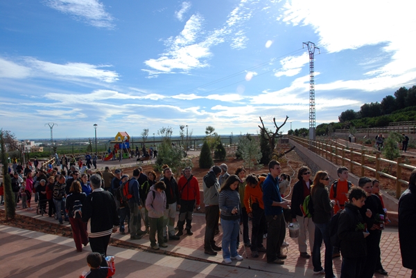 2010 Dia de l'arbre