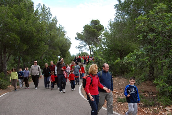 2010 Dia de l'arbre