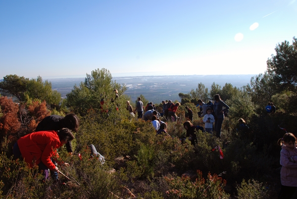 2011 Dia de l'arbre