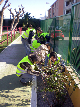 2010 Taller d'ocupaci