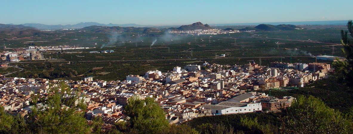 Panormica