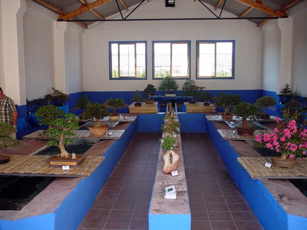Exposicio bonsais 2004