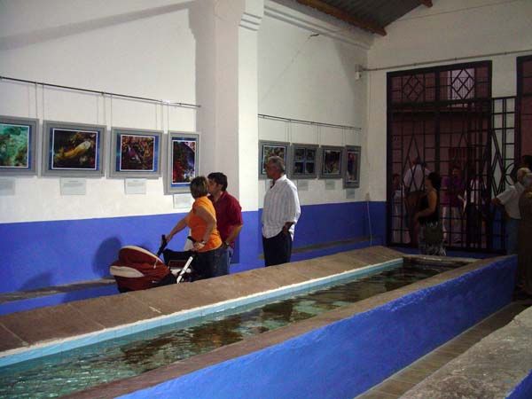 Exposicions 2006_6