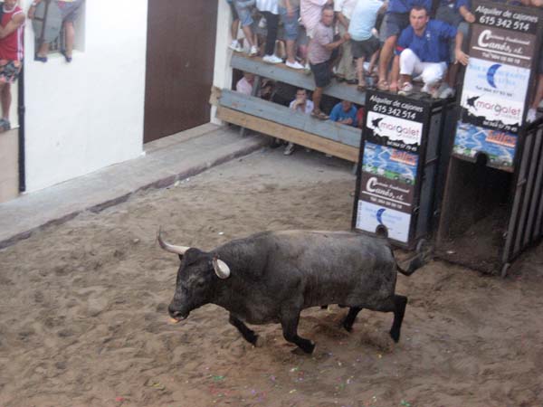 Bous Penya 2008_2