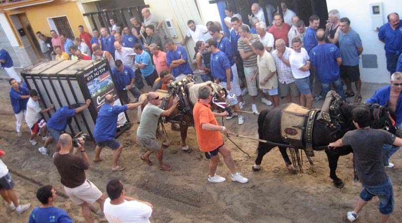 Bous Penya 2008