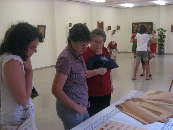 Exposicions 2008_2